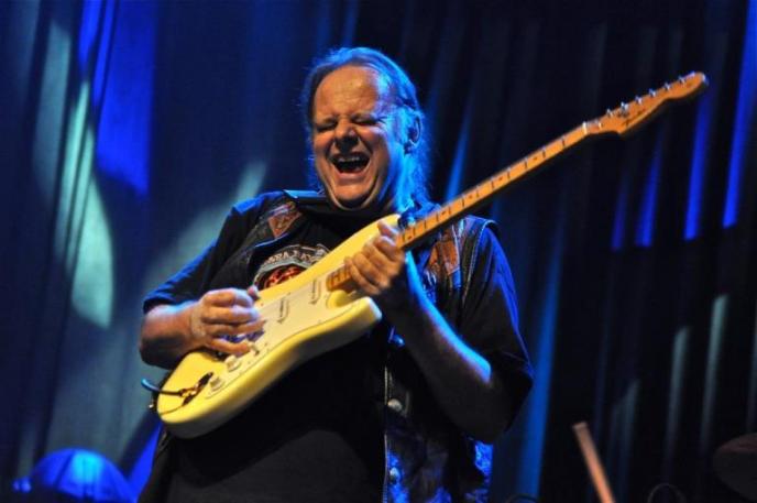 Walter Trout stijlanalyse