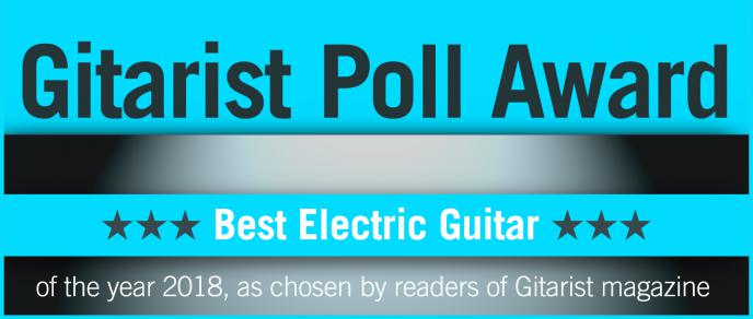 Gitarist Poll - Uitslag 2018: Elektrische gitaar