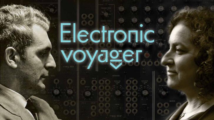 Waveshaper Media Electronic Voyager