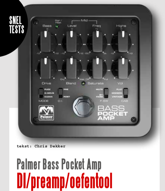 Palmer Bass Pocket Amp