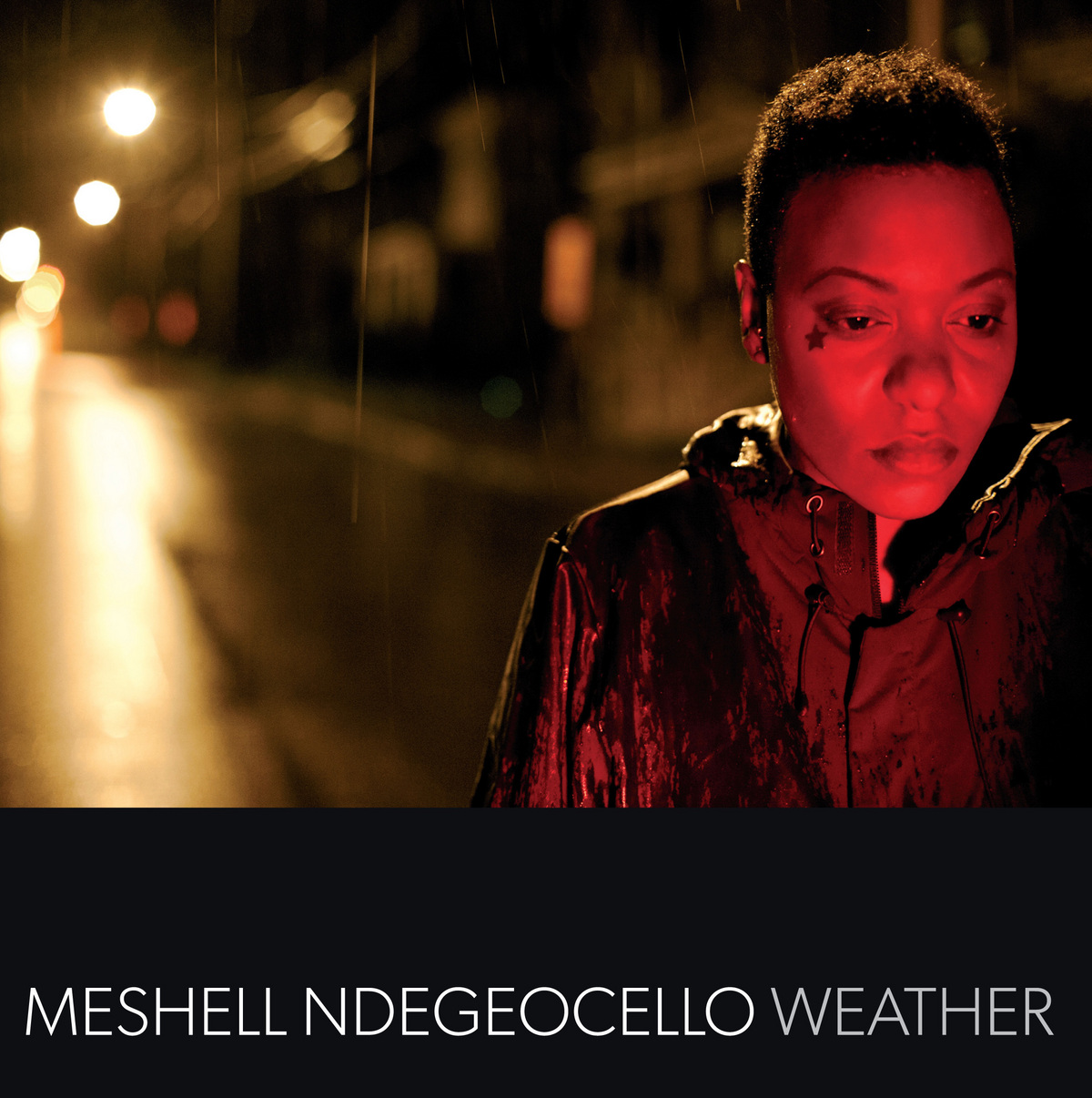 De Basplaat van Hidde Roorda: Meshell Ndegeocello's Weather